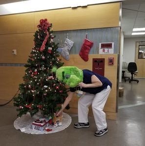 Meet your Posher, Laurie